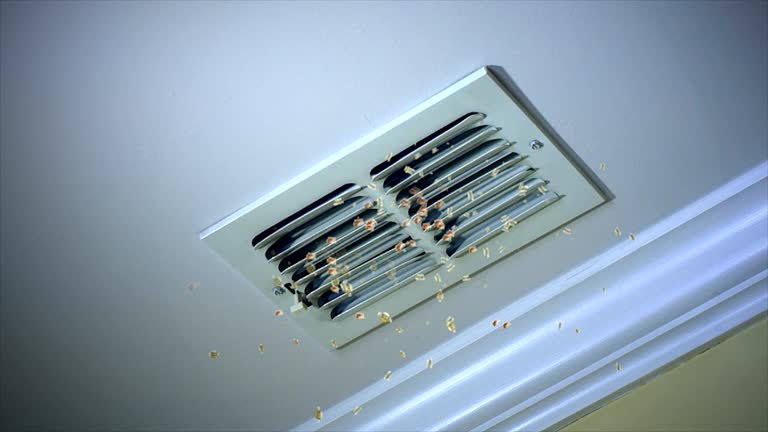 Best Commercial Air Duct Cleaning  in Oral City, FL