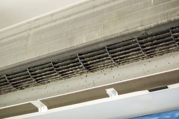 Best Emergency Air Duct Cleaning  in Oral City, FL
